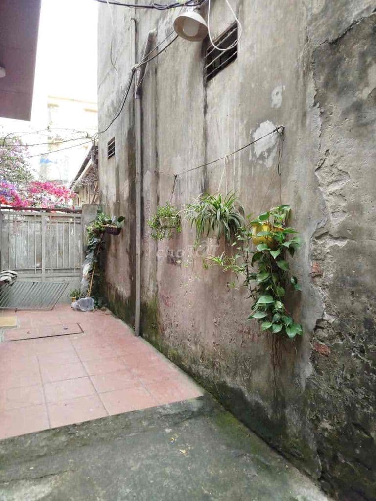 Bán đất Quang Trung-Văn Phú-lô góc-15m mặt phố-8.x tỷ - Ảnh 3