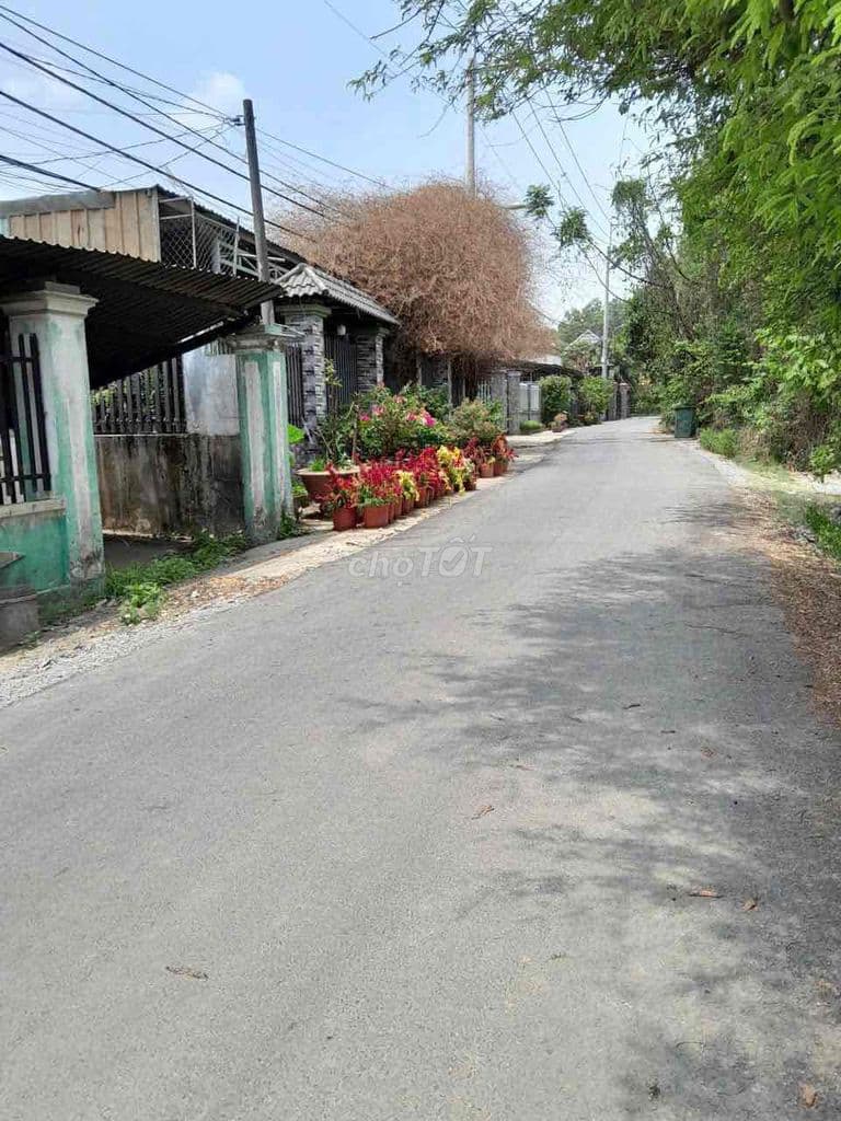 Đất thổ cư 100%( 5x30m),Bình Mỹ,TPHCM,gần sông Sài Gòn - Ảnh 2
