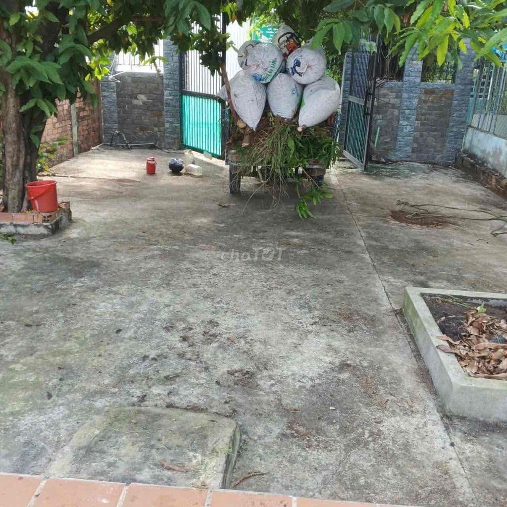 Lê Văn Lương Đất xây biệt thự 7m x 31m nhỉnh 6ty bank đang vay 6ty3 - Ảnh 2