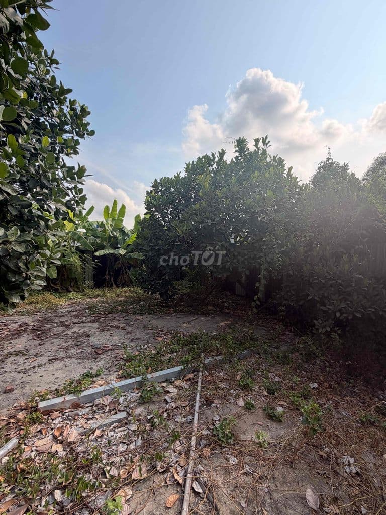 Bán Đất Ngay Đường 28 Tam Bình Hiệp Bình Thủ Đức