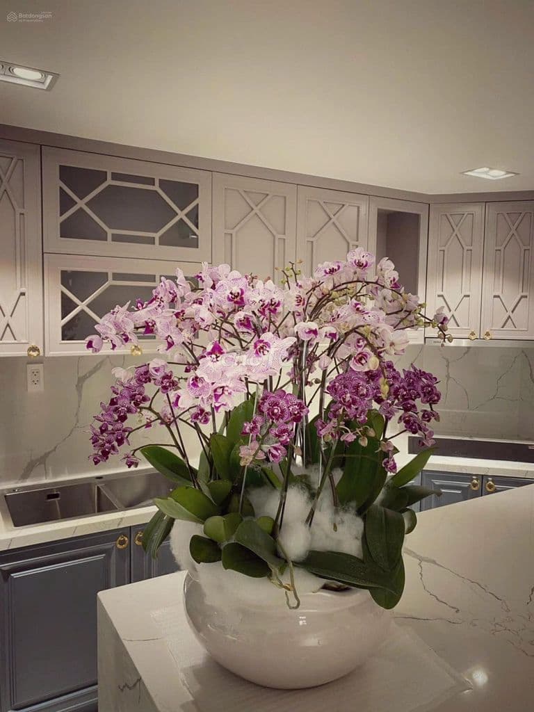 Nhà hẻm VIP Sư Vạn Hạnh 120m2, 6x20m, 4 tầng, 25 tỷ