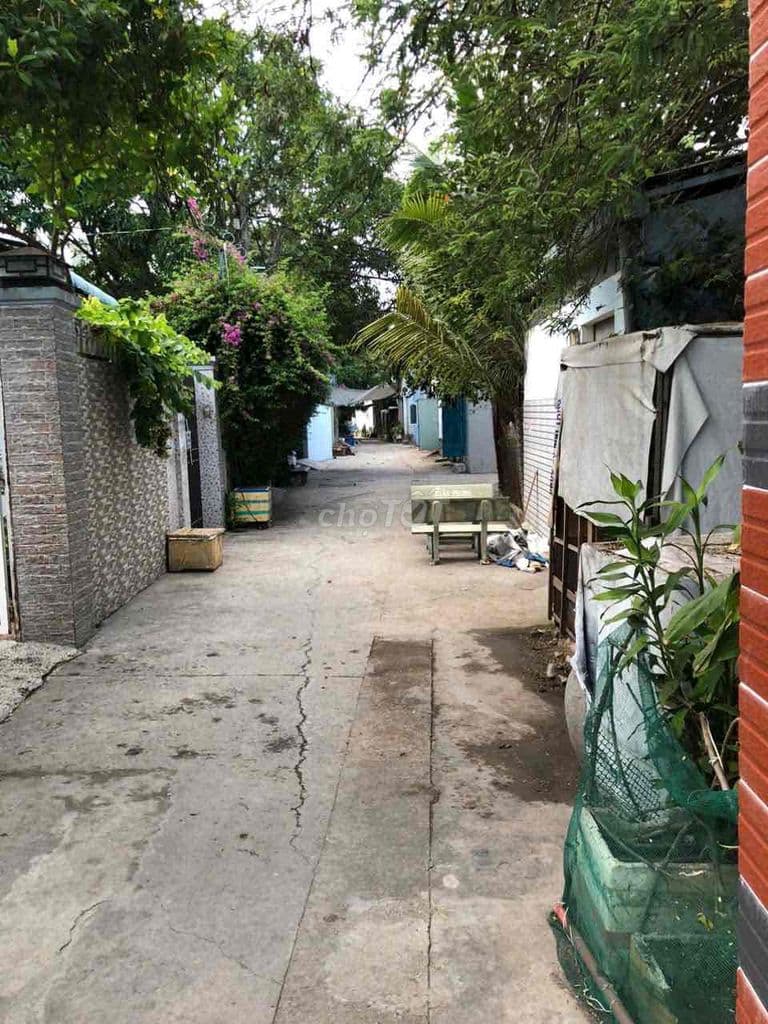 chính chủ bán gấp nhà phong phú - Ảnh 3