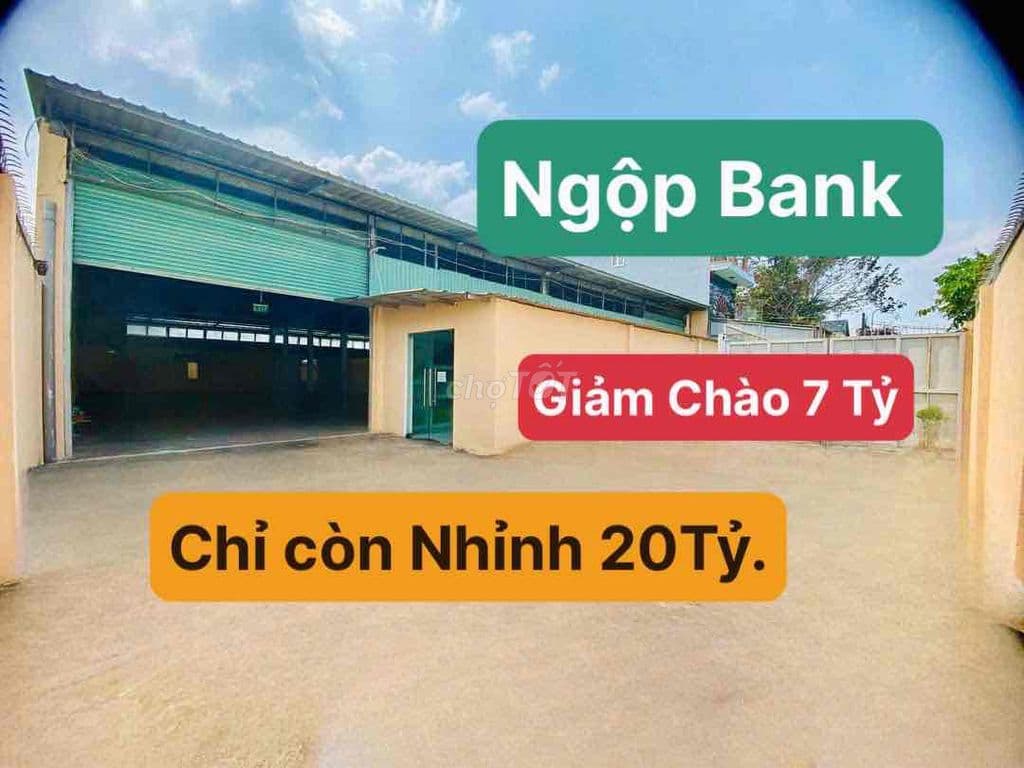 Bán Nhà Xưởng Tô Ký Hóc Môn - 1130M2 (25 x45 ) Đường 8m - Nhỉnh 20Tỷ