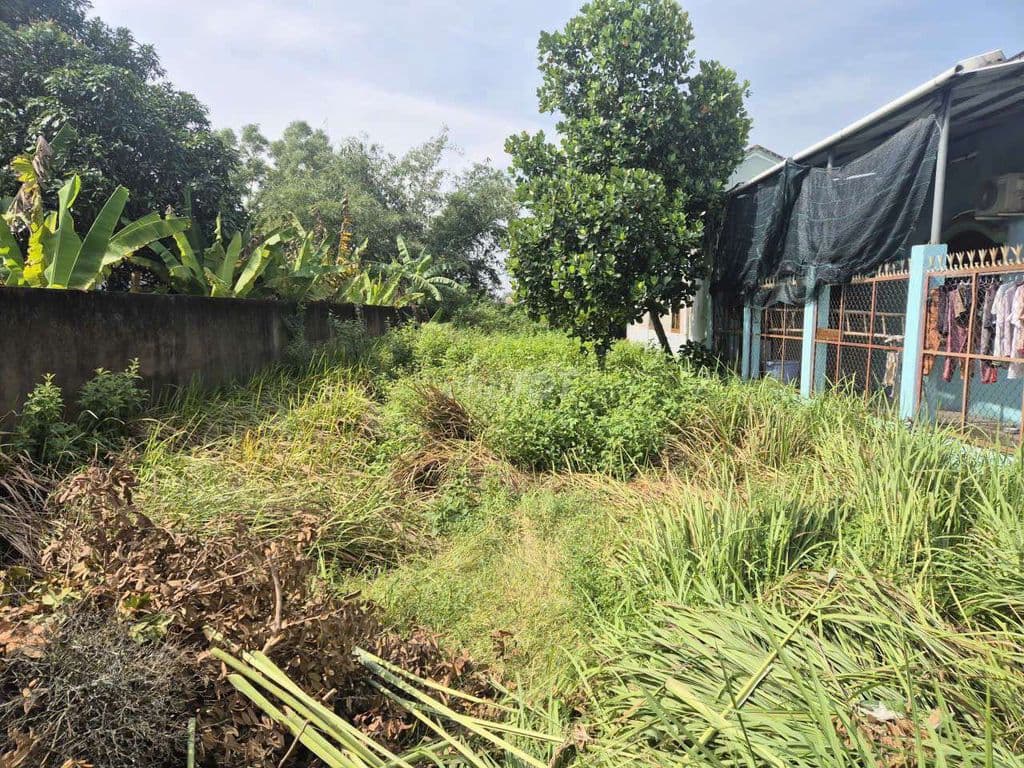 Chính Chủ Cần Bán Gấp _ Giá Tốt - Ảnh 2