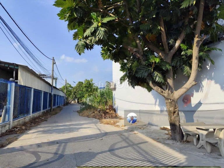 Bán đất tại Phan Văn Hớn, 5mx31m có 110m2 đất ở - Ảnh 3