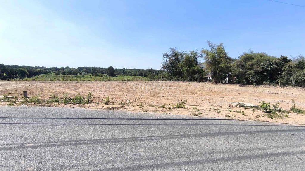 BÁN ĐẤT MẶT TIỀN RỘNG GẦN 1000m2 SHR NẰM GẦN TRUNG TÂM CỦ CHI TPHCM - Ảnh 3