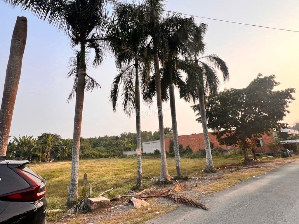 🔥 ĐẤT ĐẸP HIẾM – NGANG 10M - ĐƯỜNG NHỰA – FULL THỔ CƯ – NẮM CHỦ - Ảnh 2