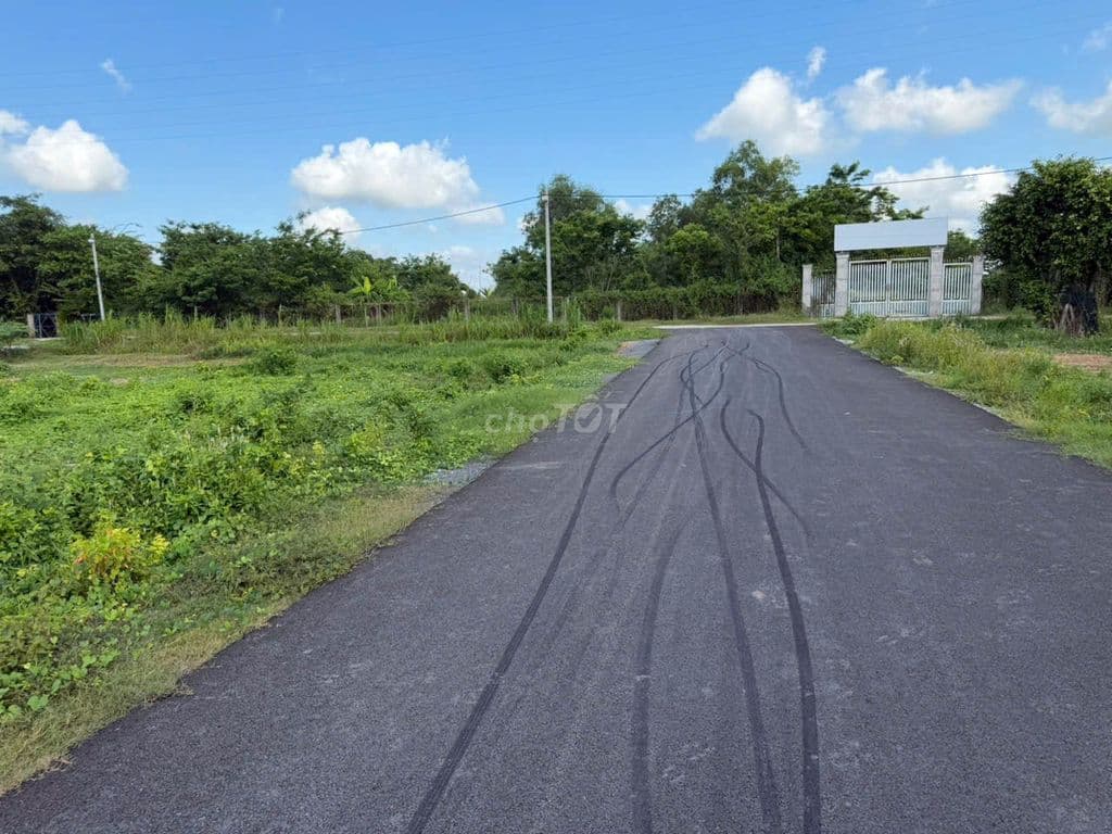 ĐẤT VƯỜN 800M2 SẴN THỔ CƯ TÂN AN HỘI - NHỈNH 2 TỶ GIÁ TỐT CỦ CHI - Ảnh 2