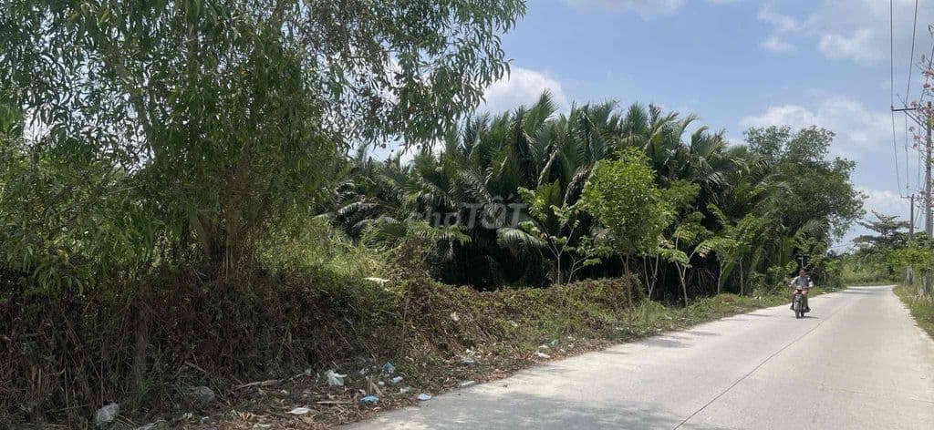 Cần bán đất xã phong phú bình chánh