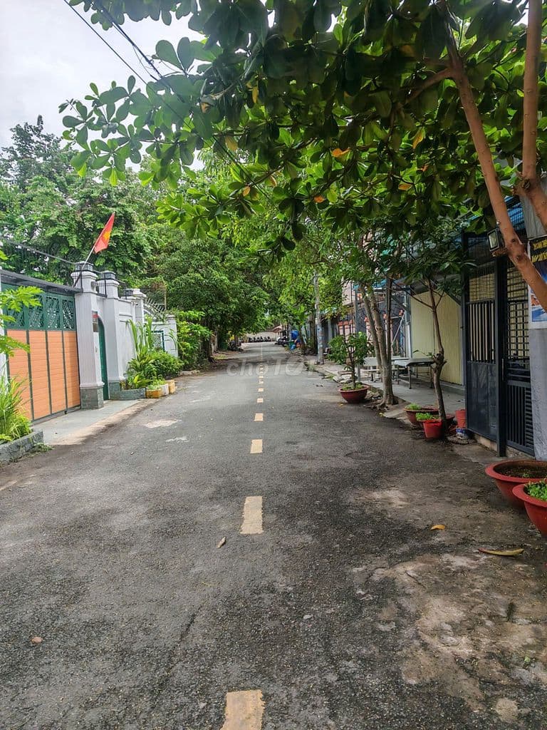 :🏡 NHÀ ĐẸP BÌNH THỌ -56m– VỊ TRÍ VIP, KHU YÊN TĨNH 🌿GIÁ 6.63 TỶ - Ảnh 2
