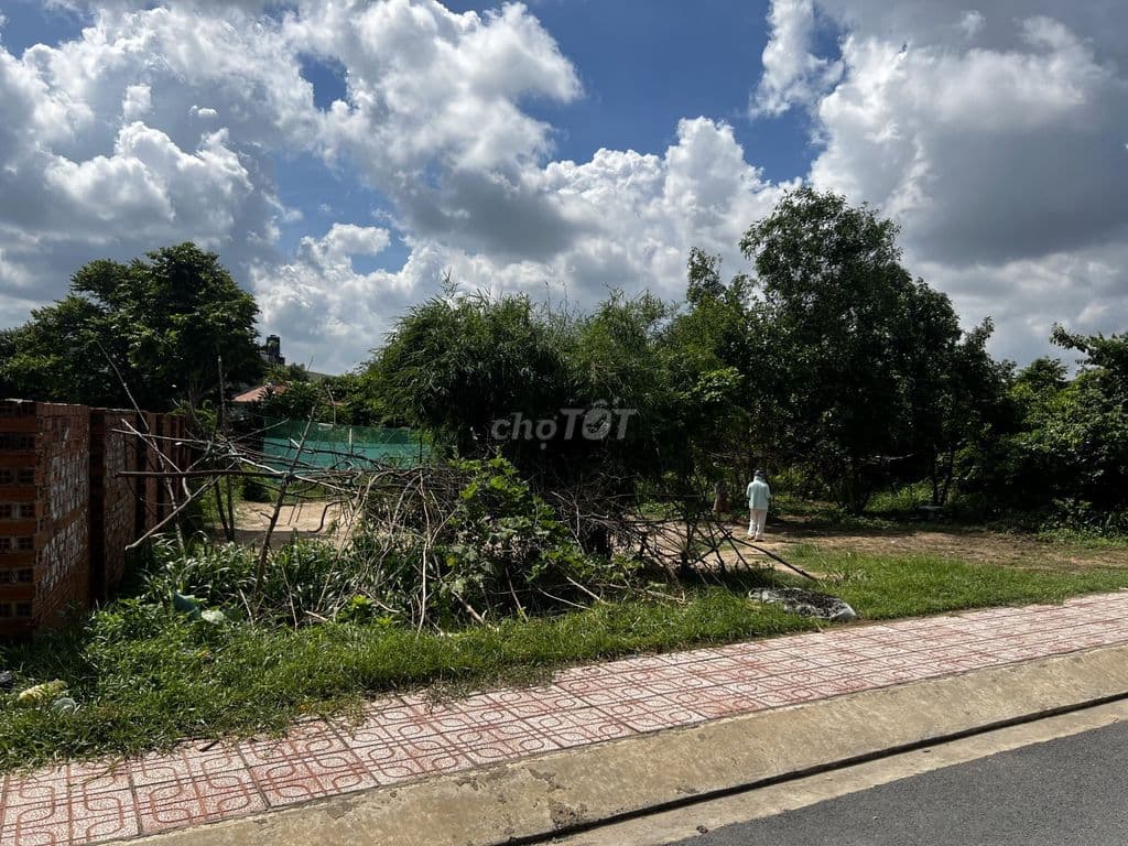 Chính chủ bán đất mặt tiền đường Tân Hiệp 31 - Ảnh 3