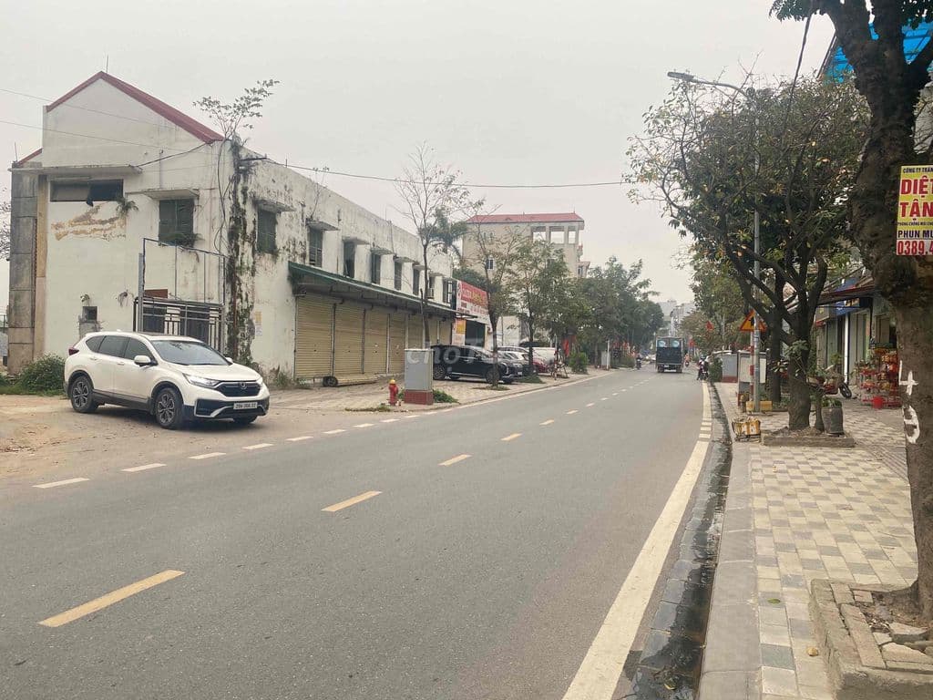 Bán đất Đào Duy Tùng, Cổ Loa , Đông Anh - Ảnh 3