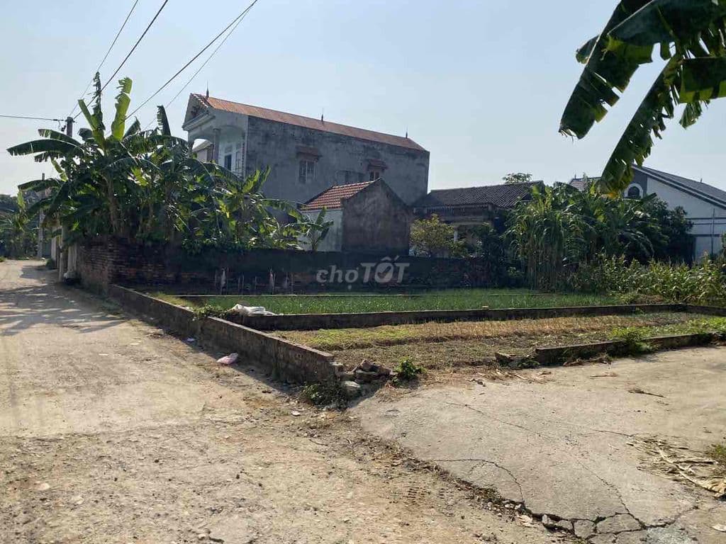 bán đất