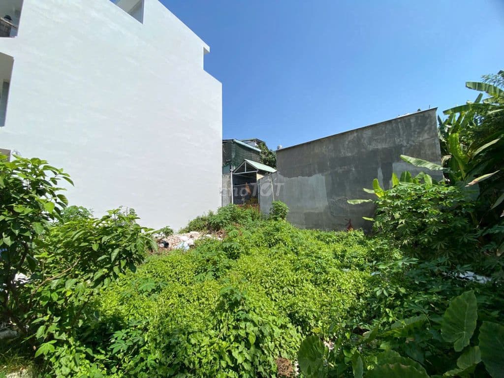 Bán đất thổ cư Khu Ven Sông Nguyễn Bình - Nhà Bè - Ảnh 3