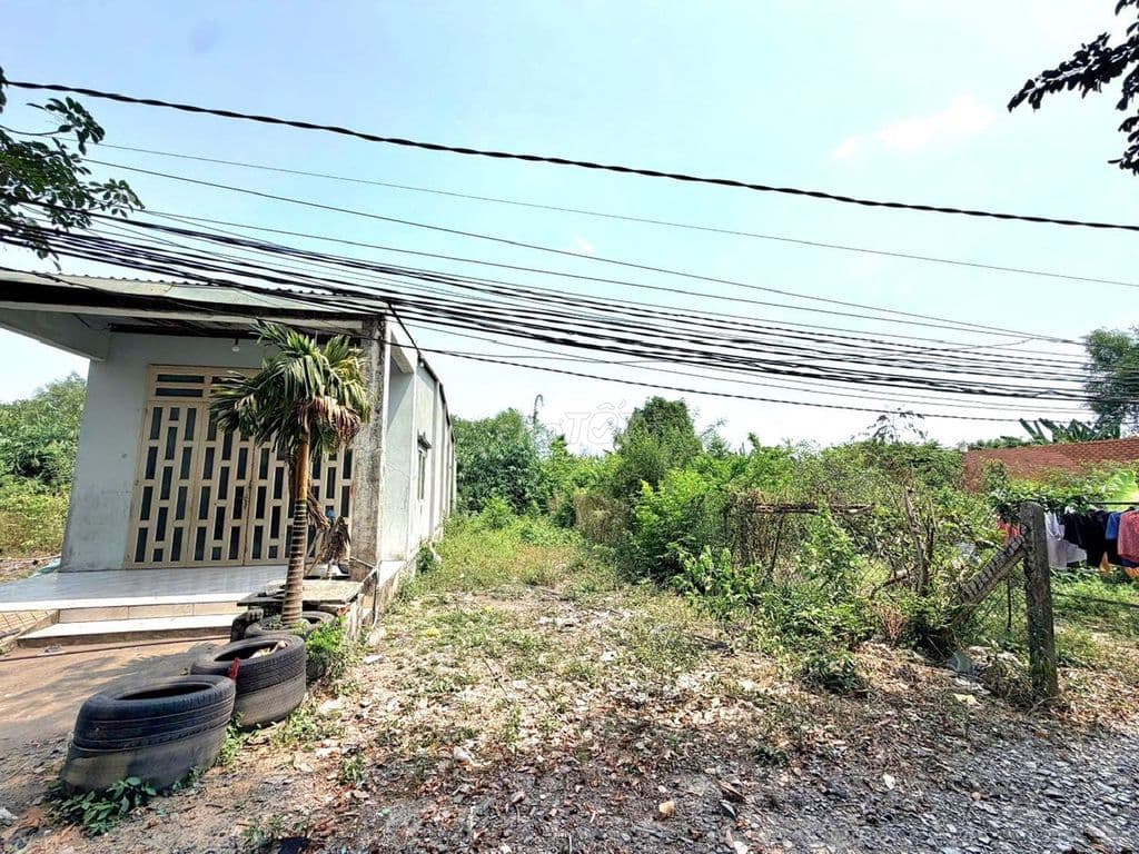 Bán gấp 129m2 đường Liêu Bình Hương. Cách QL22 400m.SHR, giá 850 triệu
