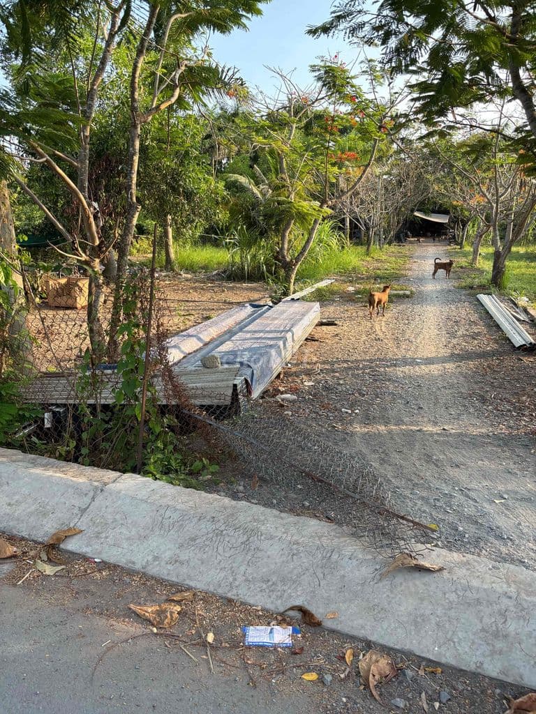 Bán Đất Vườn giá 3tỷ/ hẻm 6met/ Khu đất đẹp
