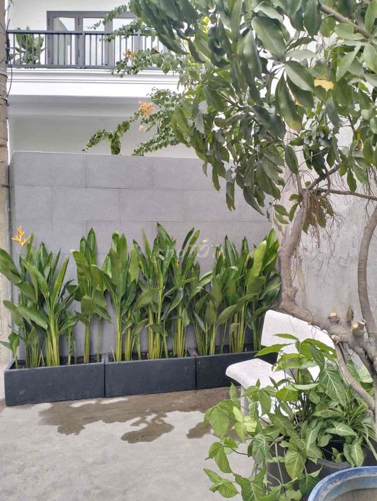 SÁT 5TỶ- NHÀ ĐẸP 2 TẦNG- 72M2- KHA VẠN CÂN- THỦ ĐỨC - Ảnh 2