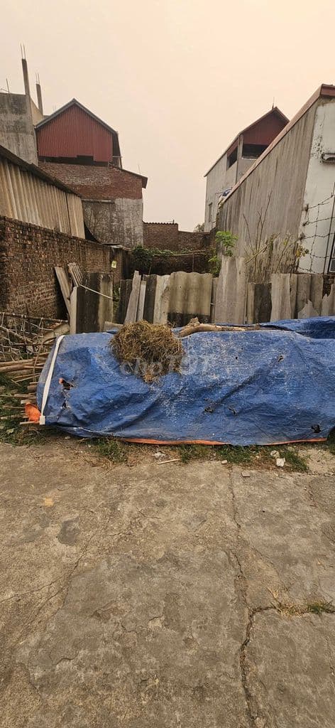 ✔️Bán 91m2 Đất Bắc Hạ, Quang Tiến – Ô Tô đỗ cửa, Gần Hồ Thoáng Mát