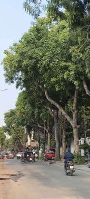 Bán nhà mặt phố phường Cửa Nam - Ảnh 3