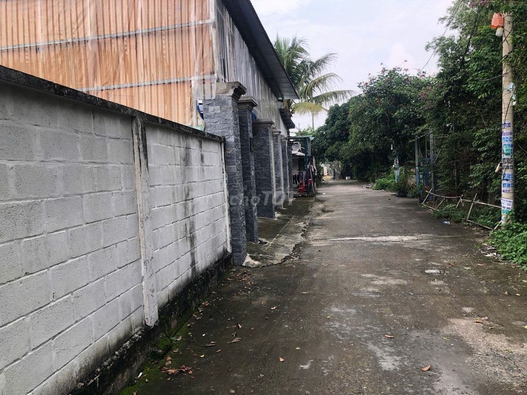 Đất 135m2 full thổ cư - gần chợ Hóc Môn hẻm 5m xe tải - Ảnh 2