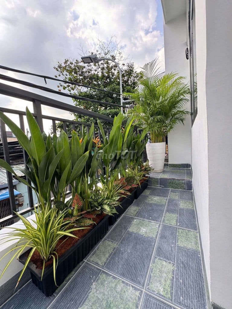 BÁN NHÀ ĐƯỜNG PHÙNG TÁ CHU HXH (4 x 16m x 3 TẦNG )GIÁ: NHỈNH 5 TỈ TL - Ảnh 3