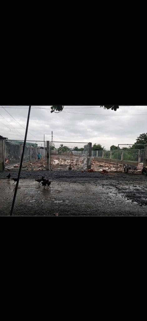 Đất 1.222 m2 Tân Kiên – Quy hoạch lên thổ cư – Giá còn mềm cho nhà đầu