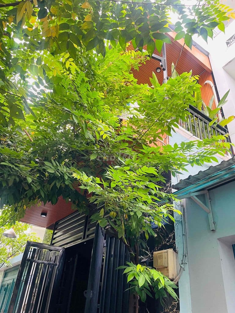 5.X TỶ - HẺM THÔNG - GẦN CÔNG VIÊN LÀNG HOA - TIỆN ÍCH XUNG QUANH - Ảnh 3