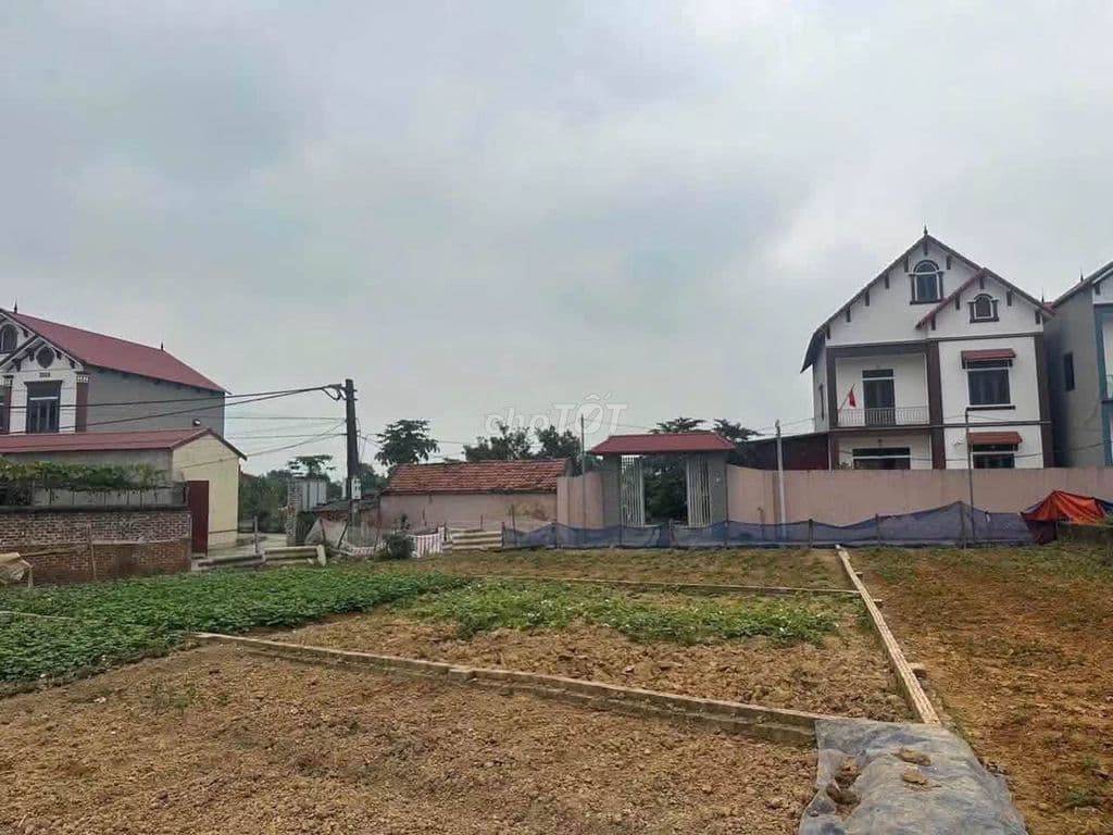 bán đất thôn yên tàng Đa phúc Sóc Sơn giá chỉ 1 tỷ
