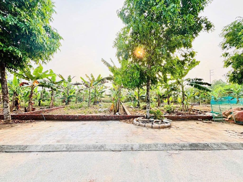 - HÀNG HIẾM RẺ ĐẸP MẶT TIỀN RỘNG TẠI TĐC ĐẠI HỌC QG - Ảnh 2