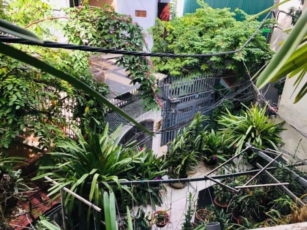 PHÂN LÔ VÕ THỊ SÁU - Ô TÔ ĐỖ CỬA - LÔ GÓC - Ở VĂN PHÒNG CHUNG CƯ MINI - Ảnh 2