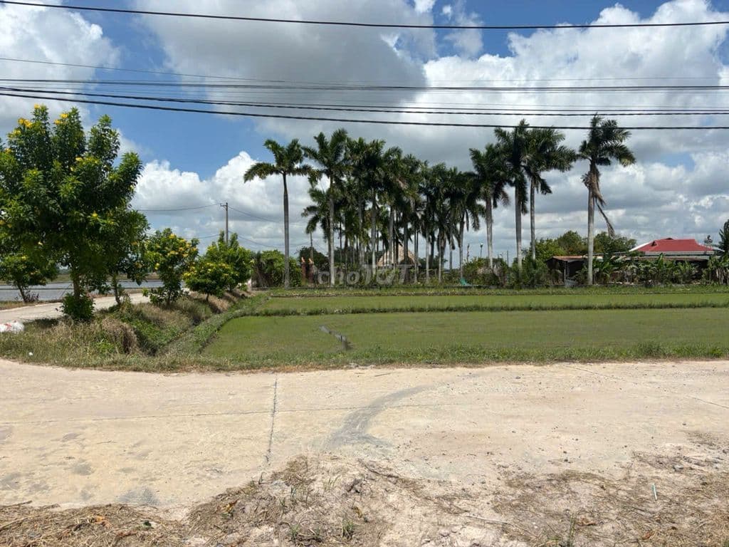 Bán đất huyện Củ Chi, xã Phước Thạnh, DT: 88m*21m, đường 9m, góc 2 MT - Ảnh 3