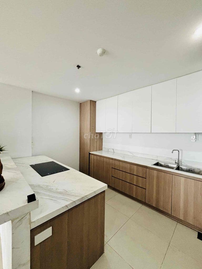 🍀BÁN CC GIAI VIỆT👉DUPLEX THÔNG TẦNG 230M2 - SHR - Ảnh 2