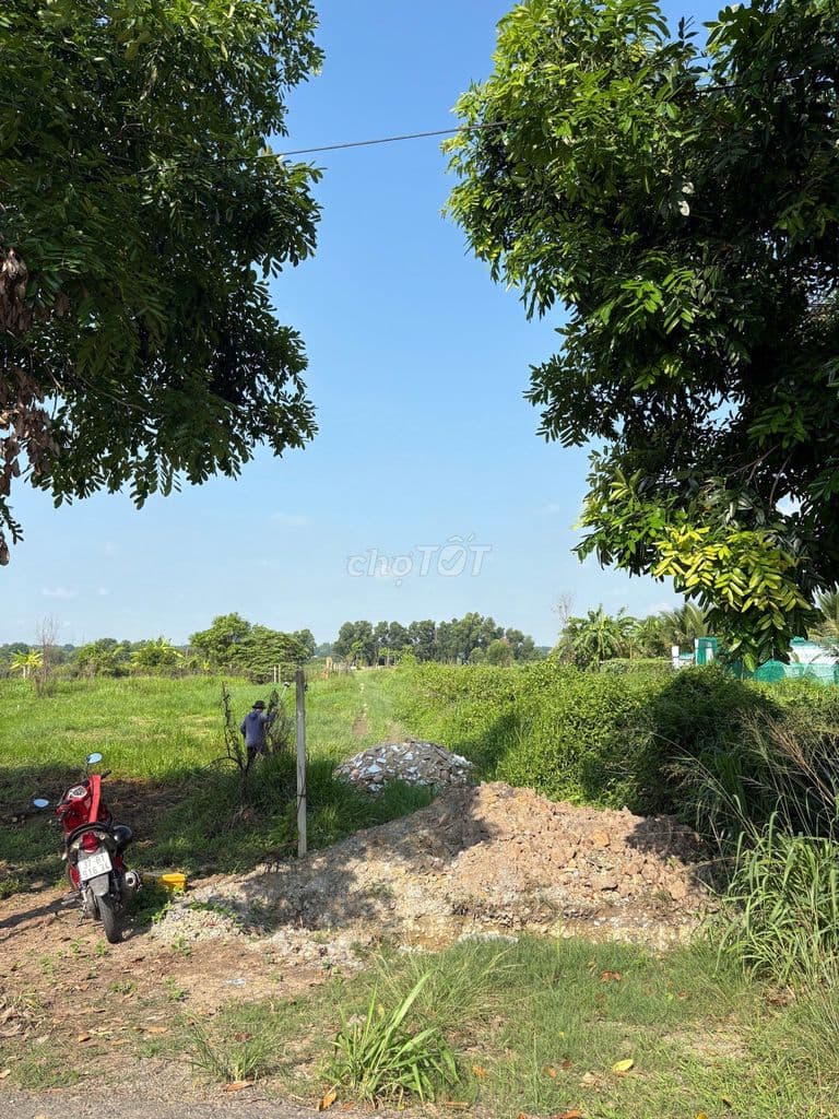 Đất làm nhà vườn