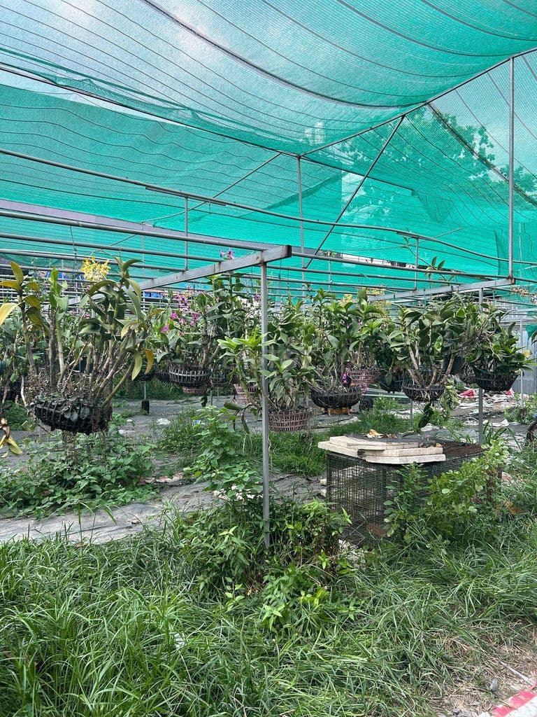 Đất Xây Kho Xưởng - Ảnh 3