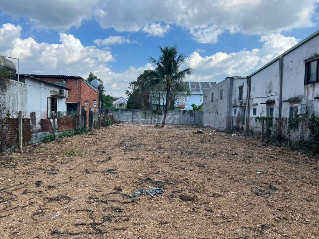 2️⃣ Đất đẹp Củ Chi 469m² – mặt tiền đường 54 ngang 12m giá chỉ 12tr/m² - Ảnh 2