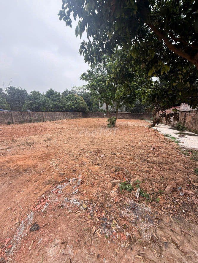 CHÍNH CHỦ bán đất tiềm năng - Thắng Hữu, Kim Anh, HNi - Cơ hội đầu tư