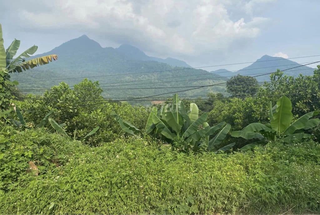 Chính chủ bán đất 11m mặt đường tỉnh lộ ĐT415, Minh Quang - Ảnh 3