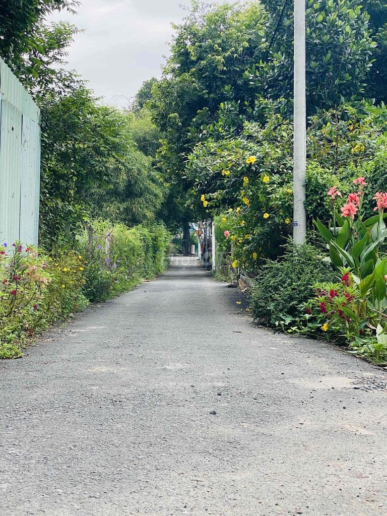 Cần bán gấp đất đẹp Phú Hoà Đông Củ Chi