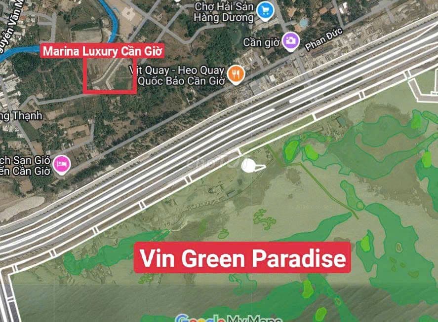 Chuẩn bị ra mắt đất nền xây khách sạn liền kề đại đô thị Vin Cần Giờ - Ảnh 2