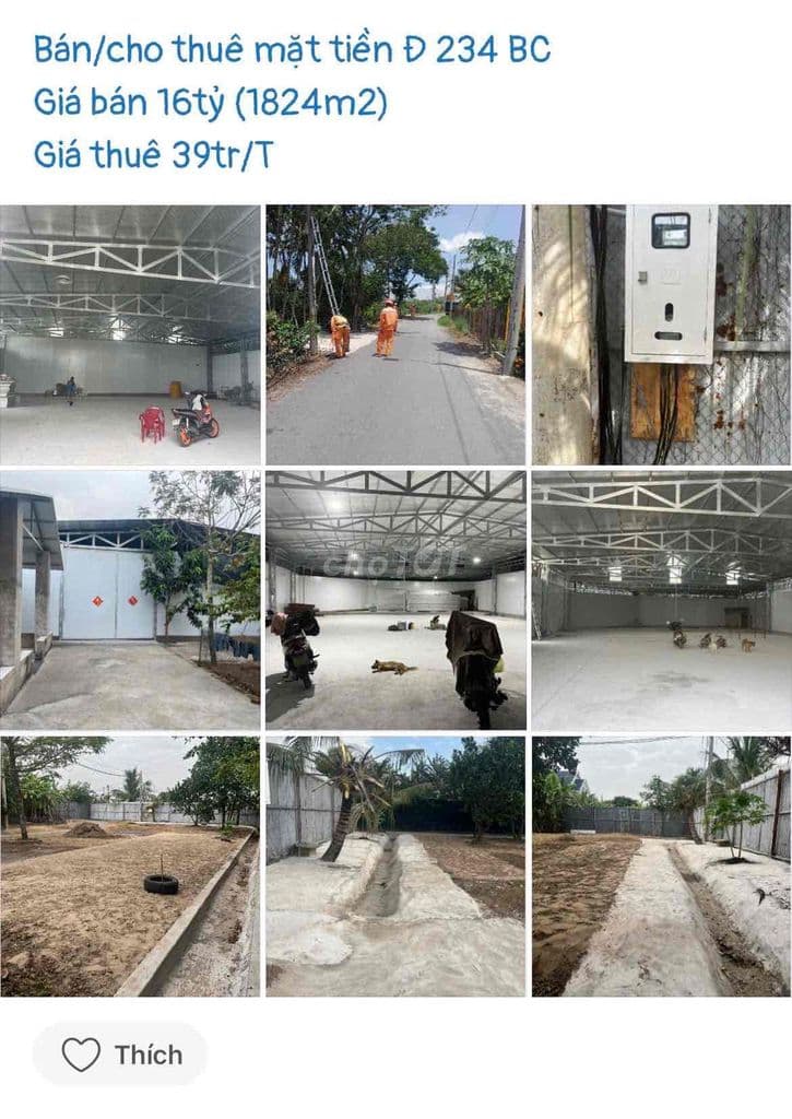 Bán/ cho thuê mặt tiền đường nhựa