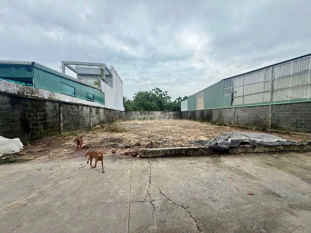 Bán Lô đất Thổ Cư 5x30m, Tân Hiệp 16, Hóc Hôn – Giá 3.5 tỷ TL