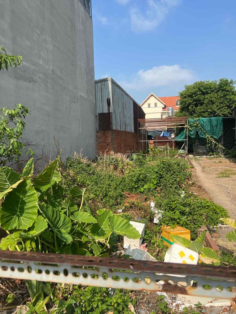 🔥 ĐẤT ĐẸP GIÁ MỀM–NGAY CHỢ HẠT ĐIỀU - Ảnh 3