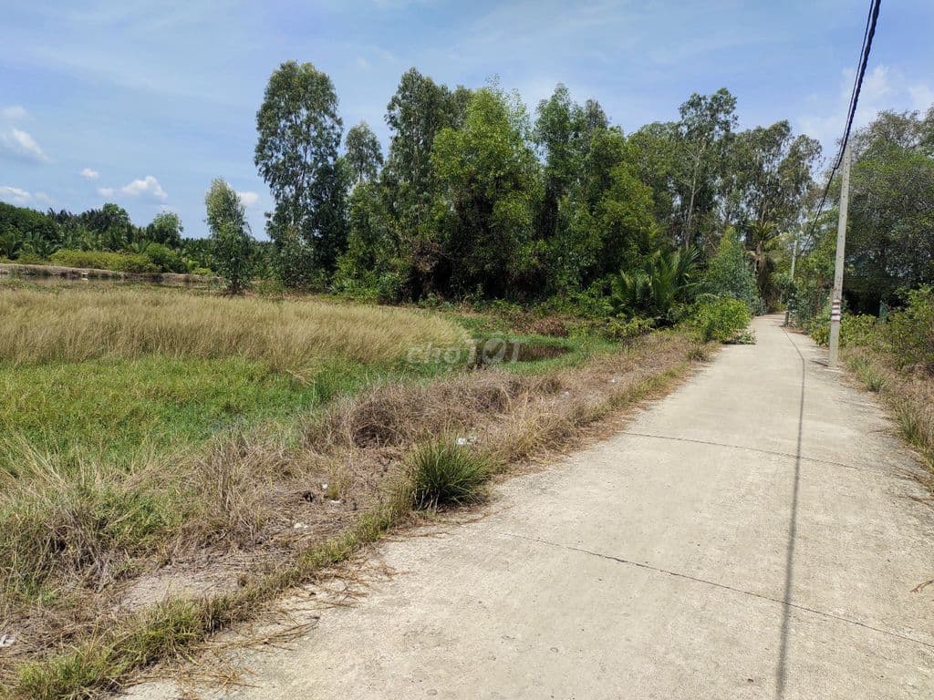 Bán gấp 1100m2 MT Cá Súc, Bình Khánh, Cần Giờ chỉ 4.2tỷ