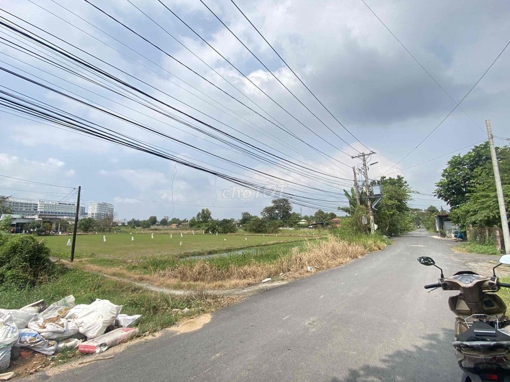 Cần bán đất 3436 đối diện BV PHẠM Ngọc Thạch Bình Chánh - Ảnh 3