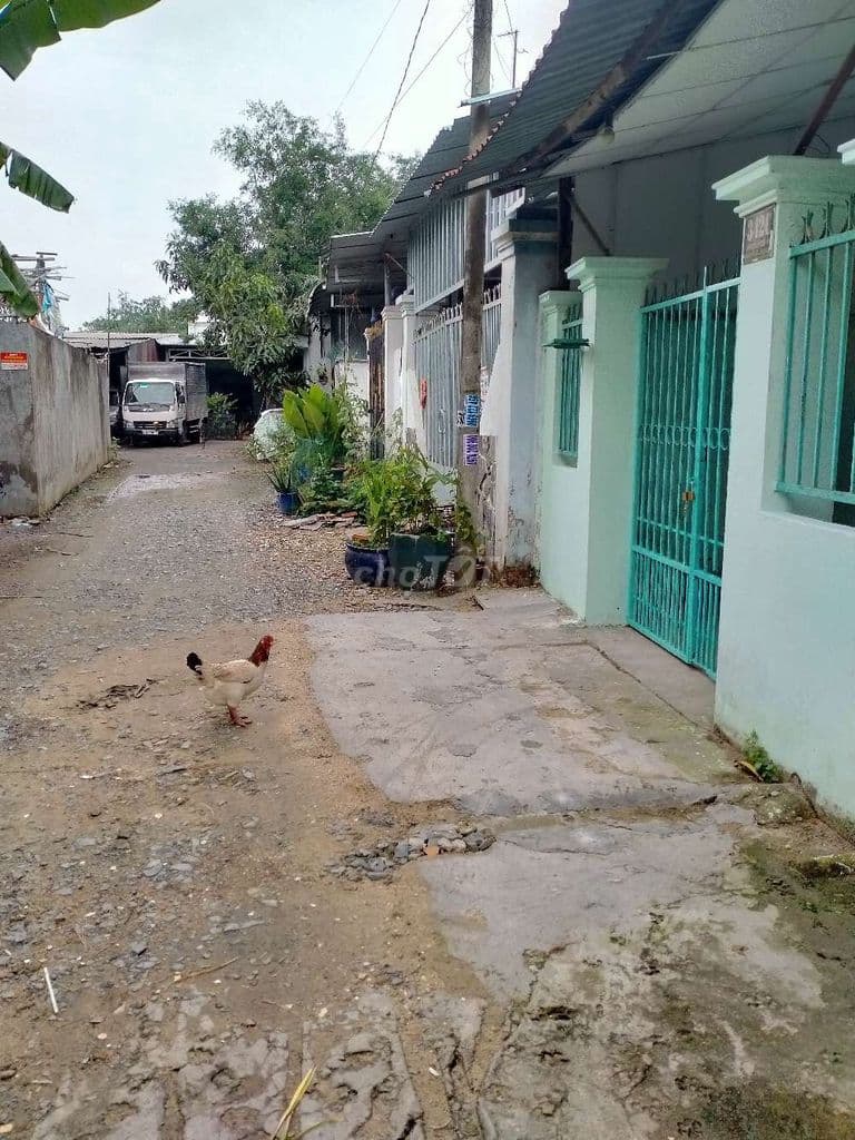 Bán nhà củ chi - Ảnh 3