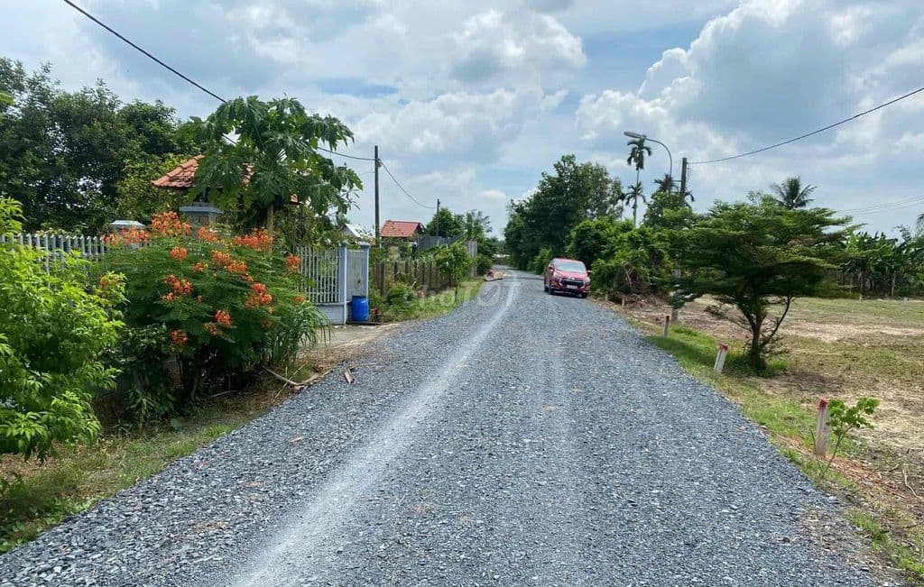 Cần bán đất 110m2 giá 650 triệu khu dân cư Basa, xã Phước Hiệp, Củ Chi - Ảnh 3