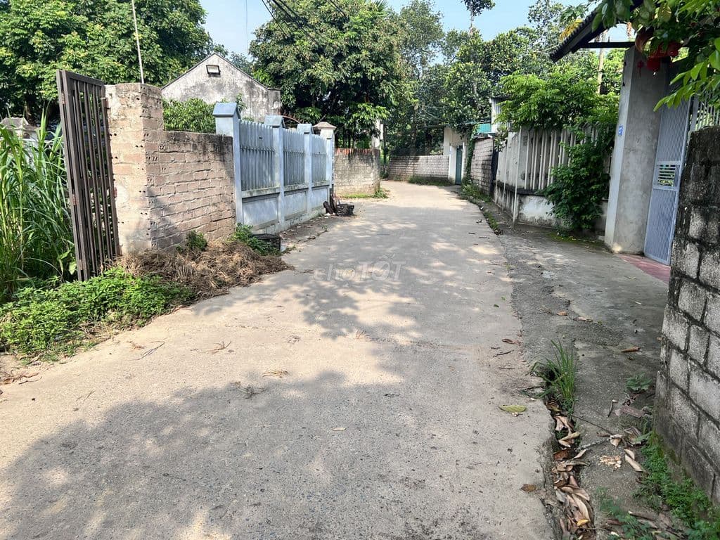 Em chính chủ đất cần bán đất tại Tây vị - Tùng Thiện - Sơn Tây. - Ảnh 3