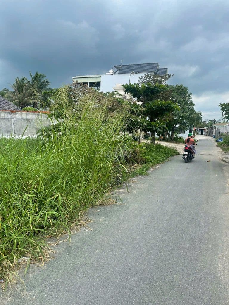 bán đất toàn bộ thổ cư 2600m2 - Ảnh 2