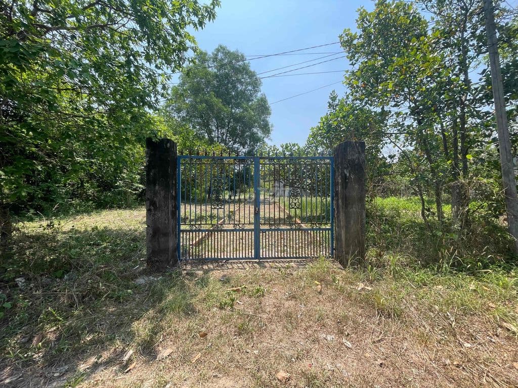 BÁN ĐẤT NÔNG NGHIỆP CỦ CHI XÃ AN NHƠN TÂY - Ảnh 2