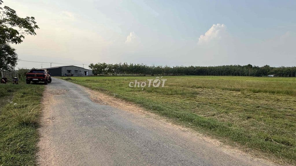 Cần bán gấp lô đất ngang 10m, 285m2, mặt tiền Phước Vĩnh An, tt Củ Chi - Ảnh 2